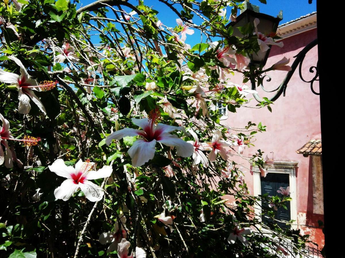 Venetian Well Cozy Apartment Corfu Old Town Εξωτερικό φωτογραφία